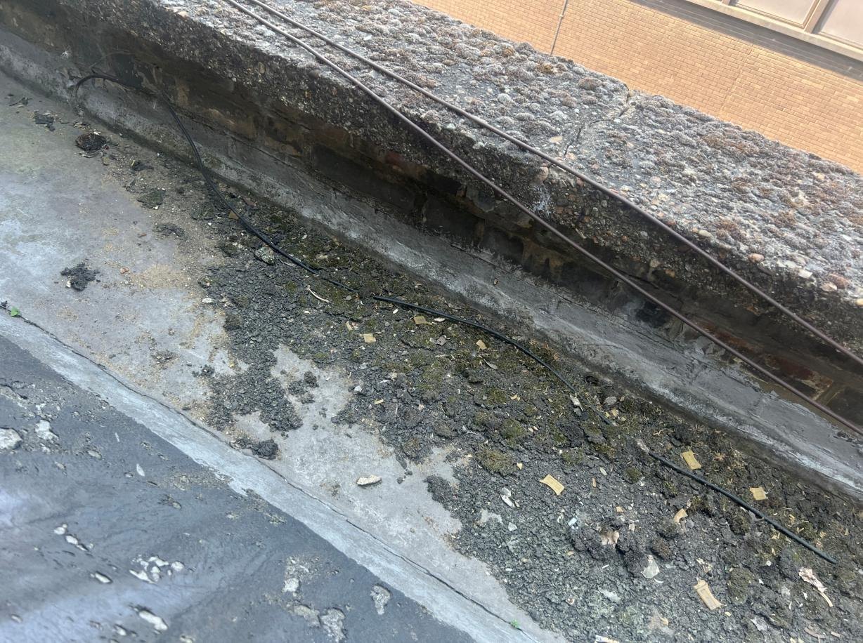 Debris and surface weathering within a parapet gutter.